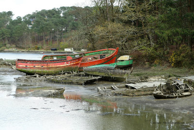 Le cimetire de bateaux de la rivire du Bono - MK3_9877 DxO Pbase.jpg