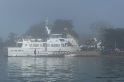 Sur le golfe du Morbihan en semi-rigide - MK3_9366 DxO Pbase 2.jpg