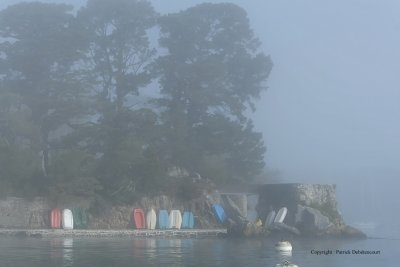 Sur le golfe du Morbihan en semi-rigide - MK3_9369 DxO Pbase 2.jpg