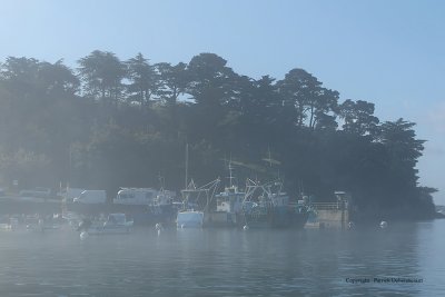 Sur le golfe du Morbihan en semi-rigide - MK3_9371 DxO Pbase 2.jpg