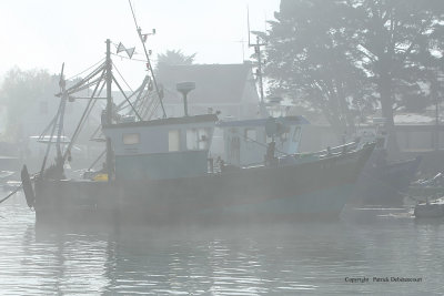 Sur le golfe du Morbihan en semi-rigide - MK3_9374 DxO Pbase 2.jpg