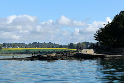 Sur le golfe du Morbihan en semi-rigide - MK3_9485 DxO Pbase.jpg