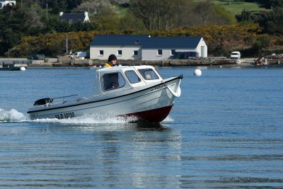 Sur le golfe du Morbihan en semi-rigide - MK3_9488 DxO Pbase.jpg