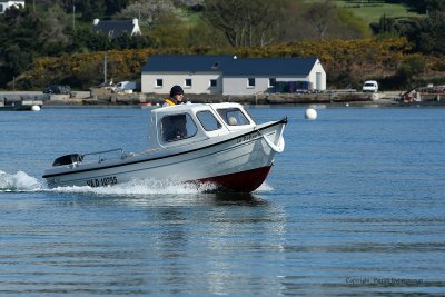 Sur le golfe du Morbihan en semi-rigide - MK3_9488 DxO Pbase.jpg