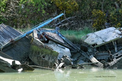 Sur le golfe du Morbihan en semi-rigide - MK3_9534 DxO Pbase.jpg