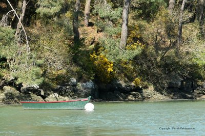 Sur le golfe du Morbihan en semi-rigide - MK3_9544 DxO Pbase.jpg