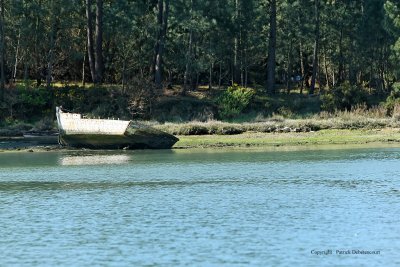 Sur le golfe du Morbihan en semi-rigide - MK3_9558 DxO Pbase.jpg