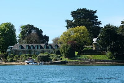 Sur le golfe du Morbihan en semi-rigide - MK3_9575 DxO Pbase.jpg