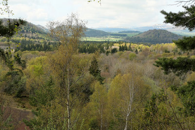 Week end en Auvergne mai 2009 -  MK3_0580 DxO Pbase.jpg