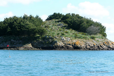 Sur le golfe du Morbihan en semi-rigide - MK3_9588 DxO Pbase.jpg