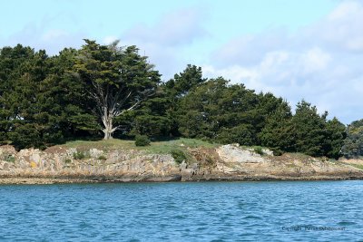 Sur le golfe du Morbihan en semi-rigide - MK3_9594 DxO Pbase.jpg