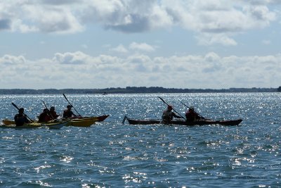 Sur le golfe du Morbihan en semi-rigide - MK3_9608 DxO Pbase.jpg