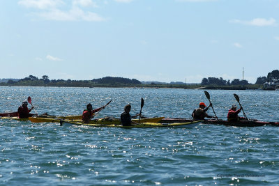 Sur le golfe du Morbihan en semi-rigide - MK3_9610 DxO Pbase.jpg