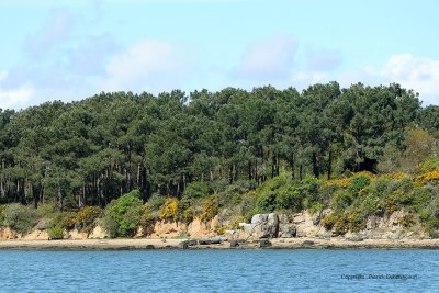 Sur le golfe du Morbihan en semi-rigide - MK3_9656 DxO Pbase.jpg