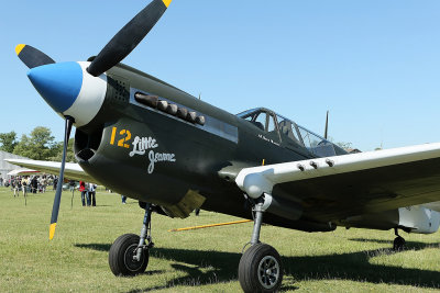 277 Meeting aerien de la Ferte Alais 2009 - MK3_8969 DxO  web.jpg