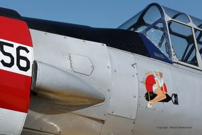 364 Meeting aerien de la Ferte Alais 2009 - MK3_9036 DxO  web.jpg