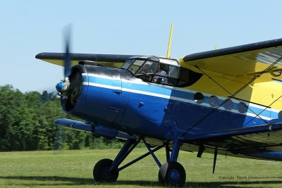 608 Meeting aerien de la Ferte Alais 2009 - MK3_9228 DxO  web.jpg