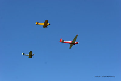 704 Meeting aerien de la Ferte Alais 2009 - IMG_3882 DxO  web.jpg