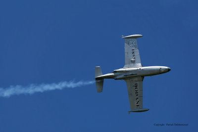 796 Meeting aerien de la Ferte Alais 2009 - MK3_9358 DxO  web.jpg