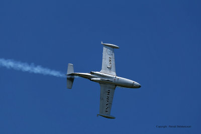 798 Meeting aerien de la Ferte Alais 2009 - MK3_9360 DxO  web.jpg