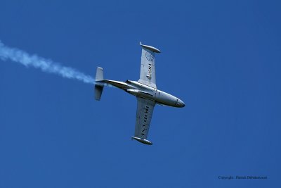 799 Meeting aerien de la Ferte Alais 2009 - MK3_9361 DxO  web.jpg
