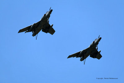 1037 Meeting aerien de la Ferte Alais 2009 - MK3_9503 DxO  web.jpg