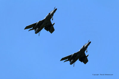 1039 Meeting aerien de la Ferte Alais 2009 - MK3_9505 DxO  web.jpg