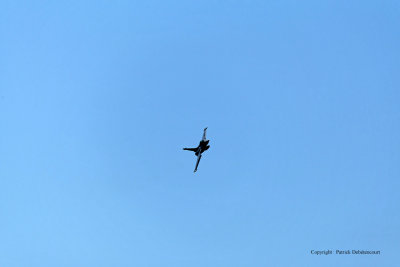 1223 Meeting aerien de la Ferte Alais 2009 - MK3_9610 DxO  web.jpg