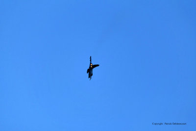 1290 Meeting aerien de la Ferte Alais 2009 - MK3_9663 DxO  web.jpg