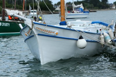 1986  Semaine du Golfe 2009 - MK3_3533 DxO  web.jpg