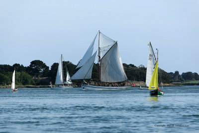 3332 Semaine du Golfe 2009 - MK3_4598 DxO  web.jpg