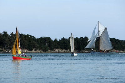 3334 Semaine du Golfe 2009 - MK3_4600 DxO  web.jpg