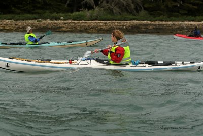 MK3_1373 DxO web.jpg