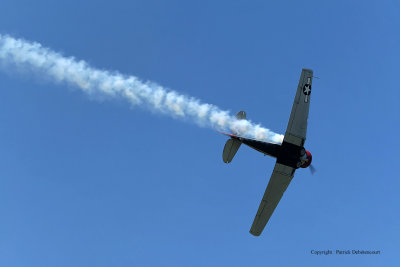 2715 Meeting aerien de la Ferte Alais 2009 - MK3_0631 DxO  web.jpg