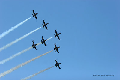 2986 Meeting aerien de la Ferte Alais 2009 - IMG_4667 DxO  web.jpg