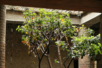 917 Vacances a Naples 2009 - MK3_2928 DxO  web.jpg