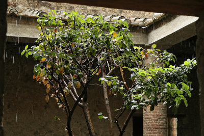 918 Vacances a Naples 2009 - MK3_2929 DxO  web.jpg