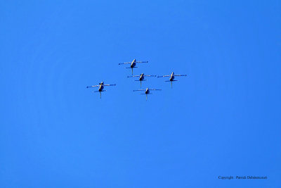3222 Meeting aerien de la Ferte Alais 2009 - MK3_0928 DxO  web.jpg