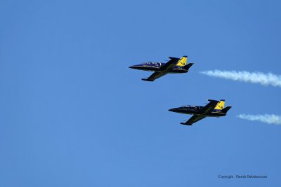 3335 Meeting aerien de la Ferte Alais 2009 - MK3_0984 DxO  web.jpg