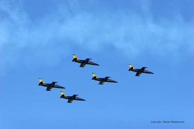 3346 Meeting aerien de la Ferte Alais 2009 - IMG_4857 DxO  web.jpg
