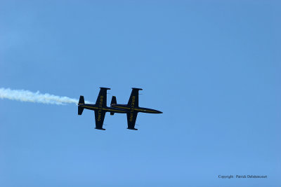3361 Meeting aerien de la Ferte Alais 2009 - IMG_4861 DxO  web.jpg