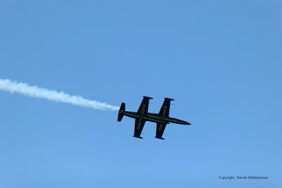 3363 Meeting aerien de la Ferte Alais 2009 - IMG_4863 DxO  web.jpg