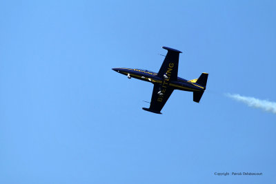 3393 Meeting aerien de la Ferte Alais 2009 - MK3_1011 DxO  web.jpg