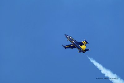 3395 Meeting aerien de la Ferte Alais 2009 - MK3_1013 DxO  web.jpg