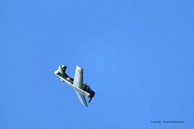 4018 Meeting aerien de la Ferte Alais 2009 - MK3_1462 DxO  web.jpg