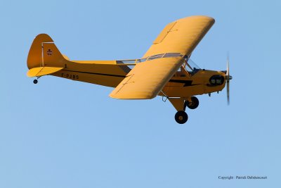 4353 Meeting aerien de la Ferte Alais 2009 - MK3_1798 DxO  web.jpg