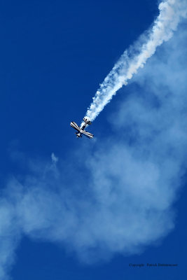 4402 Meeting aerien de la Ferte Alais 2009 - MK3_1844 DxO  web.jpg