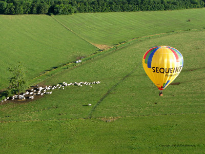 624 Lorraine Mondial Air Ballons 2009 - IMG_0767_DxO  web.jpg