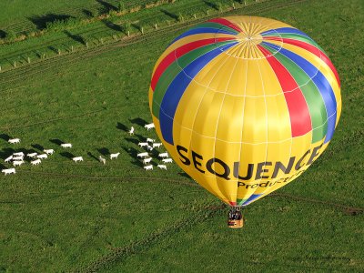 634 Lorraine Mondial Air Ballons 2009 - IMG_0769_DxO  web.jpg