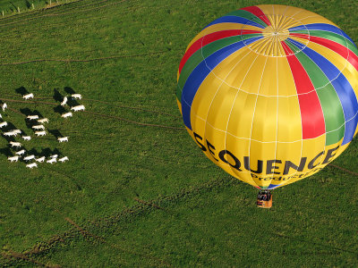 637 Lorraine Mondial Air Ballons 2009 - IMG_0770_DxO  web.jpg